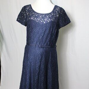 White House Black Market Navy Blue Lace Dress Women's Size 16